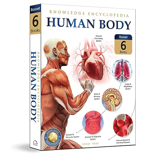 Human Body Box Set: Knowledge Encyclopedia For Children book cover