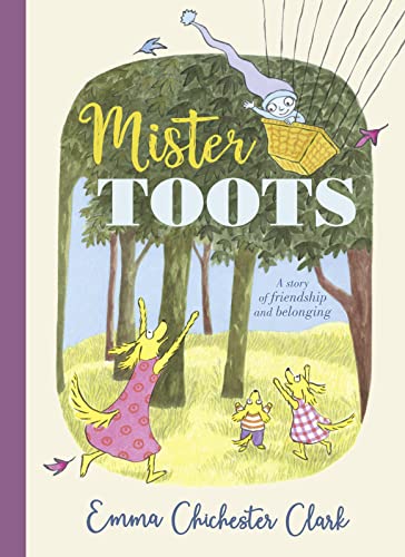MISTER TOOTS book cover