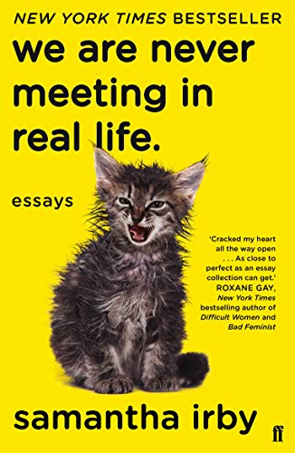 We Are Never Meeting in Real Life book cover
