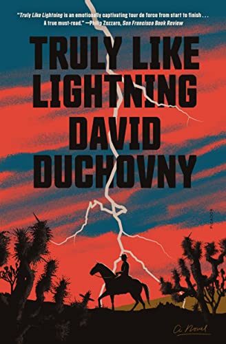 TRULY LIKE LIGHTNING book cover