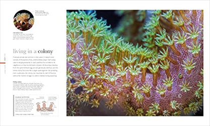 The Science of the Ocean: The Secrets of the Seas Revealed