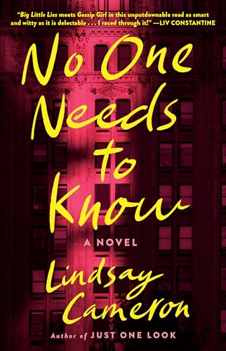 No One Needs to Know: A Novel book cover