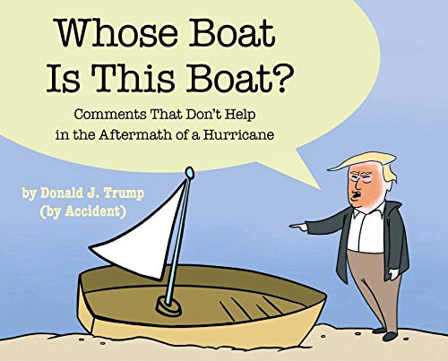 Whose Boat Is This Boat?: Comments That Dont Help in the Aftermath of a Hurricane book cover