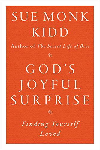 GODS JOYFUL SURPRISE book cover