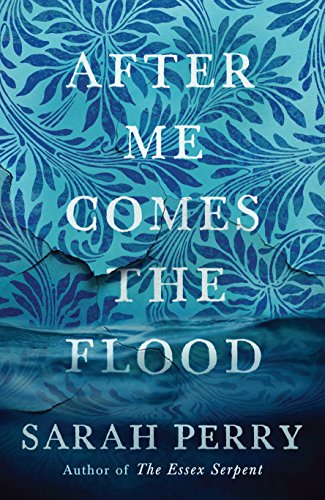 After Me Comes the Flood book cover