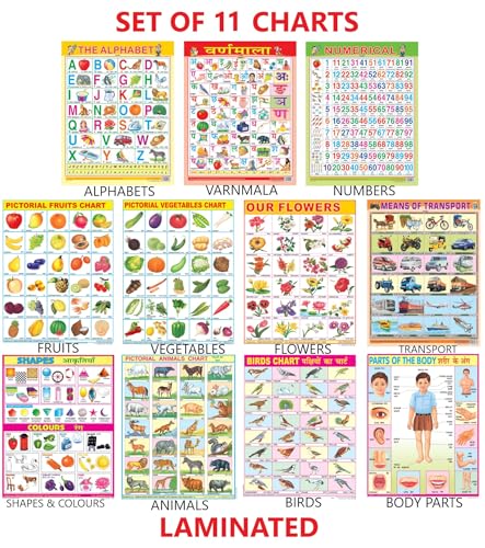 Early Learning Educational Charts Set For Kids|Set Of 11|Non-Tearable & Waterproof|Double Sided Laminated|Billingual Charts In English & Hindi|Perfect For Homeschooling And Nursery Students