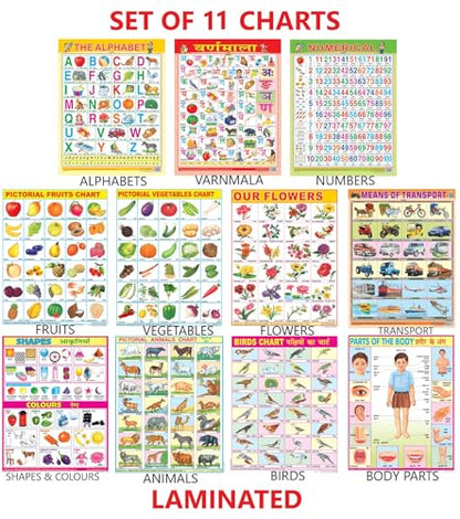 Early Learning Educational Charts Set For Kids|Set Of 11|Non-Tearable & Waterproof|Double Sided Laminated|Billingual Charts In English & Hindi|Perfect For Homeschooling And Nursery Students