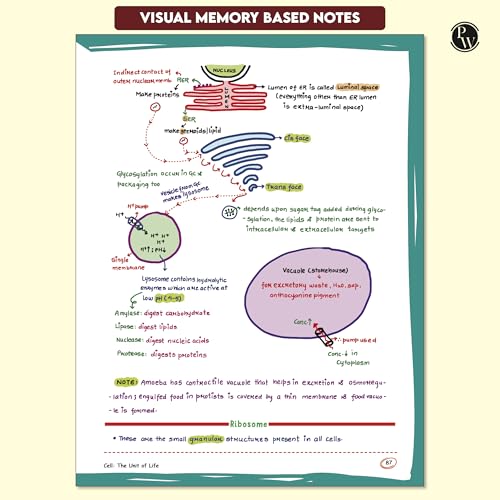 PW Med Easy Zoology 2.0 and Botany Handwritten Notes Combo Set of 2 Books For NEET and Board Exams 2025-26 | Flowcharts, Mnemonics, Diagrams | NCERT Unit Overview