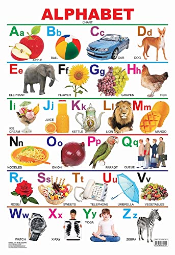 Alphabet  book cover