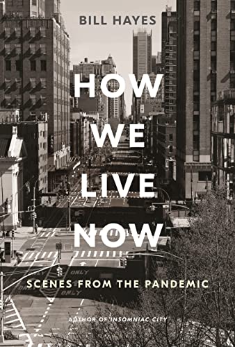How We Live Now book cover