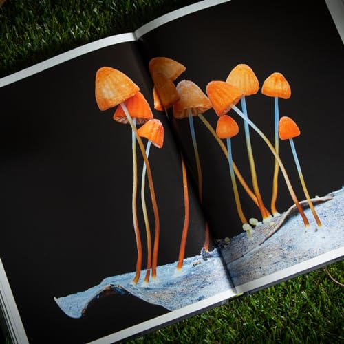 Entangled Life (The Illustrated Edition)