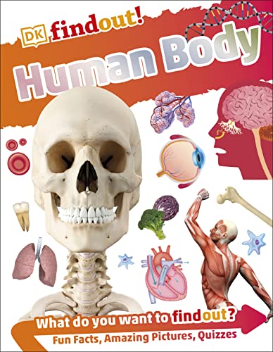 Human Body (DK Findout!) book cover