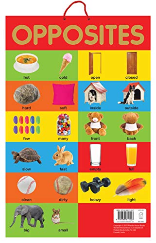 Opposites - Early Learning Educational Posters For Children: Perfect For Kindergarten, Nursery and H