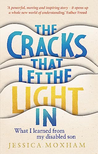 The Cracks that Let the Light In book cover