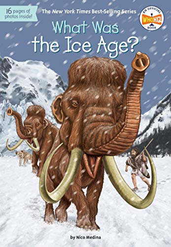 What Was the Ice Age? book cover