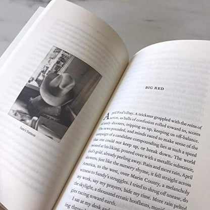 Year of the Monkey: The New York Times bestseller