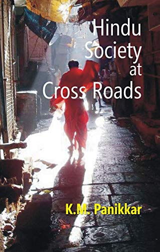 HINDU SOCIETY AT CROSSROADS book cover