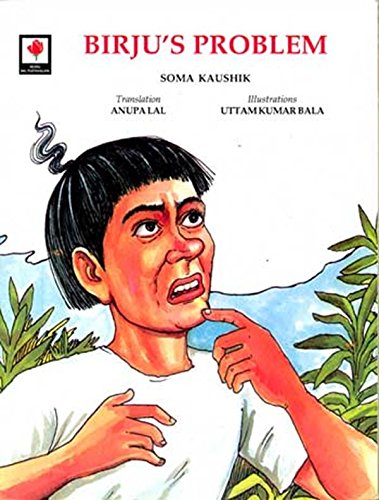 BIRJU'S PROBLEM book cover