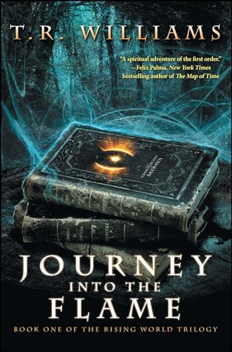 Journey into the Flame book cover