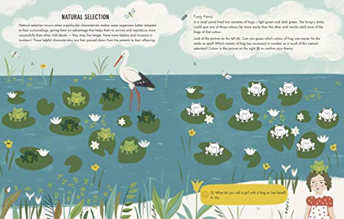 Evolution Colouring and Activity Book