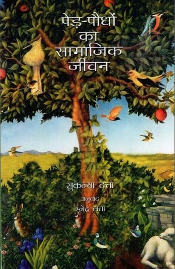 Bori Ka Pul (Hindi) book cover