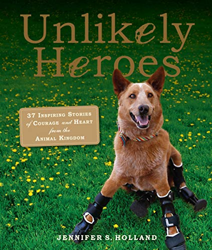 Unlikely Heroes book cover