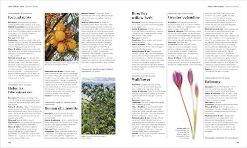 Encyclopedia of Herbal Medicine New Edition: 560 Herbs and Remedies for Common Ailments