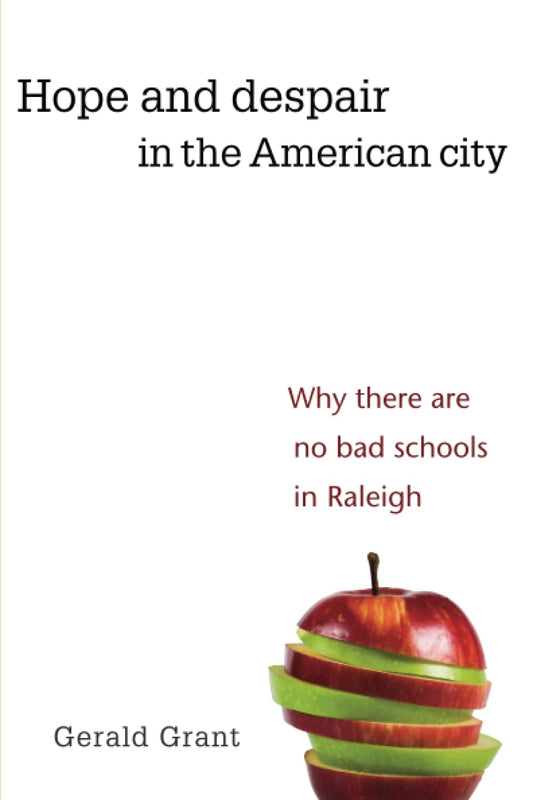 Hope And Despair In The American City book cover