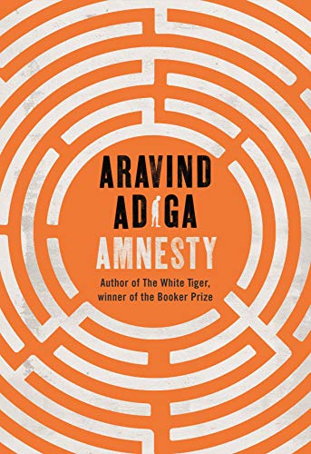 Amnesty book cover