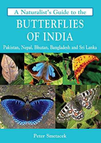 A NaturalistS Guide To The Butterflies Of India book cover