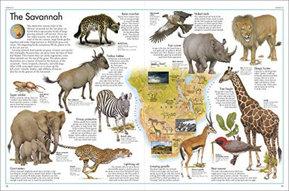The Animal Atlas: A Pictorial Guide to the World's Wildlife