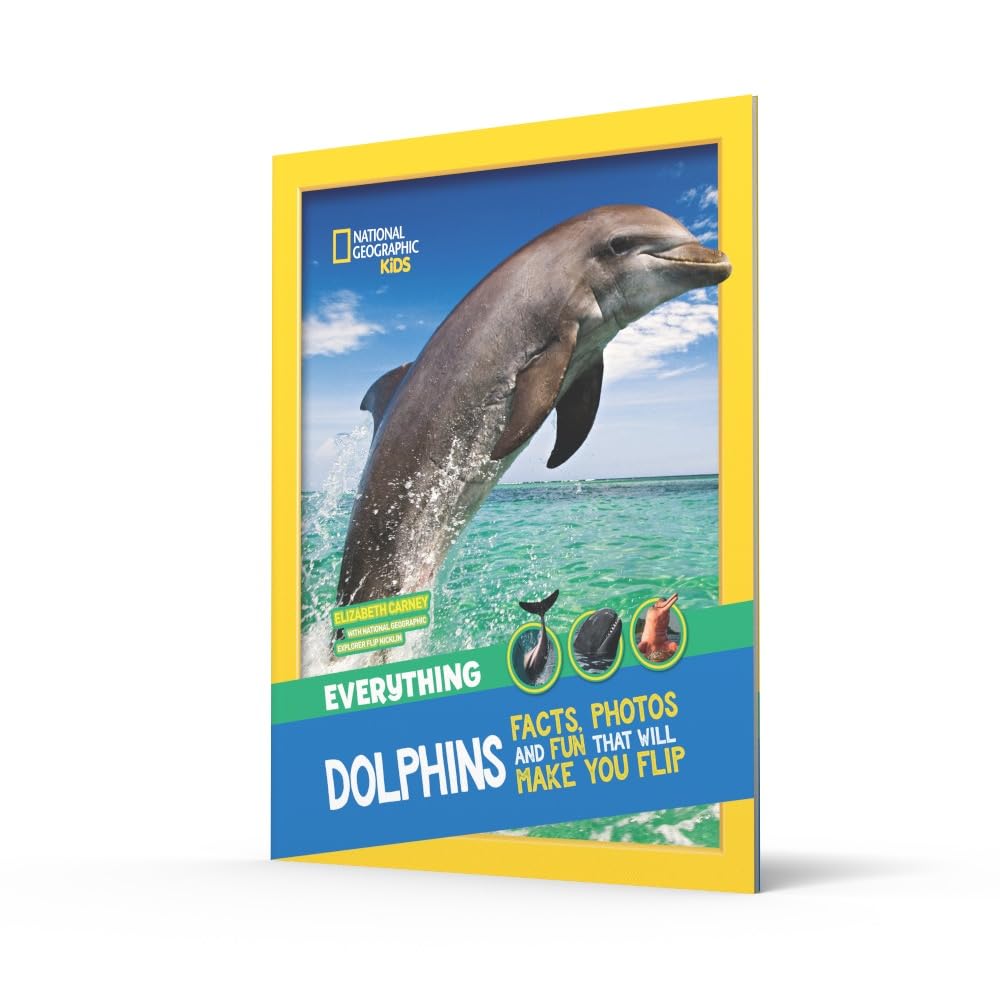 Everything: Dolphins
