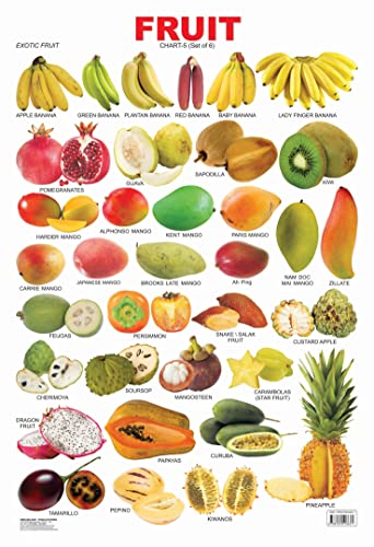 Fruit Chart - 5 book cover