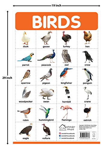 Birds - My First Early Learning Wall Posters: For Preschool, Kindergarten, Nursery And Homeschooling book cover