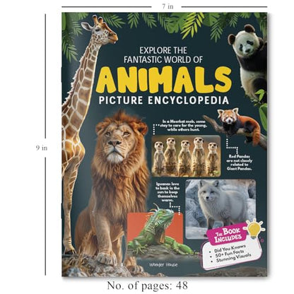 Explore Fantastic World of Animals Picture Encyclopedia