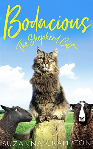 BODACIOUS: THE SHEPHERD CAT book cover
