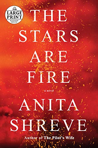 The Stars Are Fire book cover