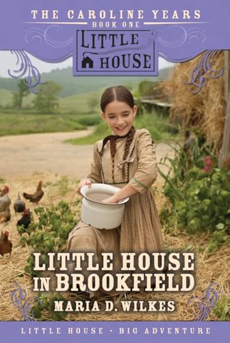 Little House in Brookfield book cover