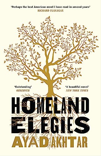 Homeland Elegies book cover