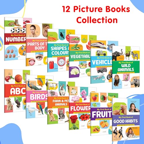 My First Picture Book Collection For Early Learning : Books For Children, Learning Picture Library For Kids, Toddler book, Early learning book With 12 Topics