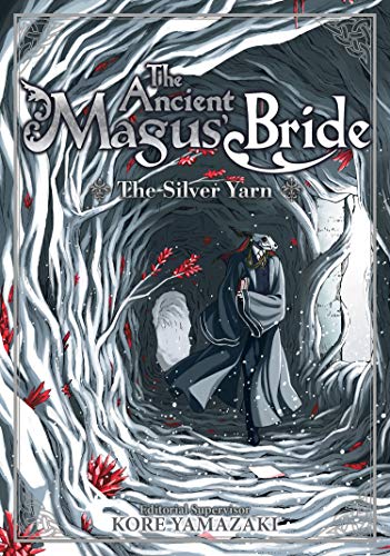 Ancient Magus: Silver Yarn (LN) 2 book cover