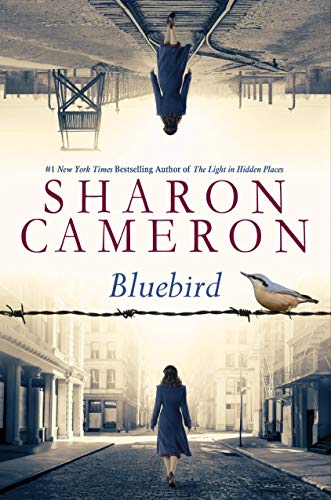 BLUEBIRD book cover