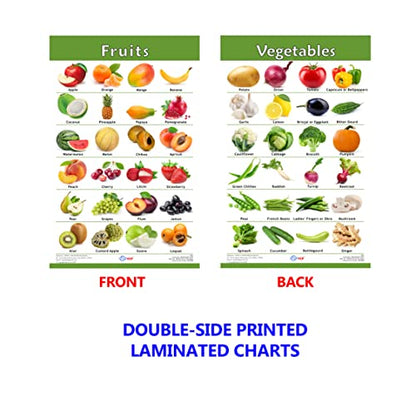 VCP Early Learning Educational Chart Set for Kids | Set of 12 LAMINATED Paper Charts (Printed on Both Sides) | Non-Tearable and Waterproof | Size : 31 x 46 cm | Alphabet, Numbers, Animals..