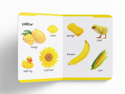 Early Learning Padded Book of Colors and Shapes: Board Book for Kids | Learn Basic Colours and Common Shapes with Bright, Engaging Pictures | Durable Padded Board Book for Babies, Toddlers & Preschoolers | Ages 0–5 Years