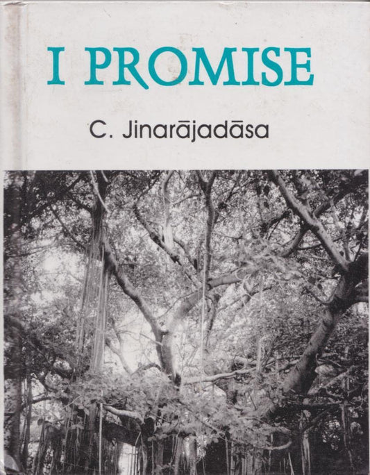 I Promise: Talks to Young Disciples  book cover