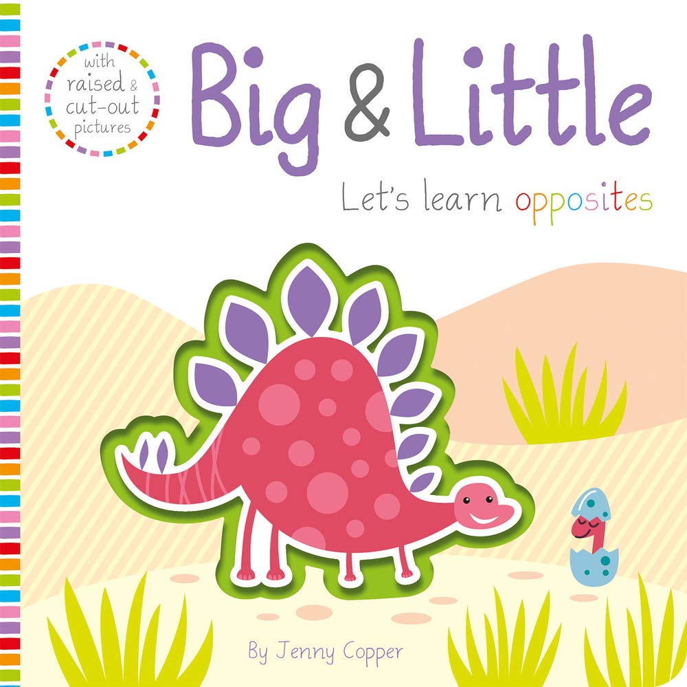 LETS LEARN: BIG & LITTLE book cover