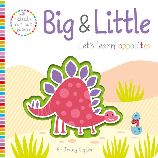 LETS LEARN: BIG & LITTLE book cover