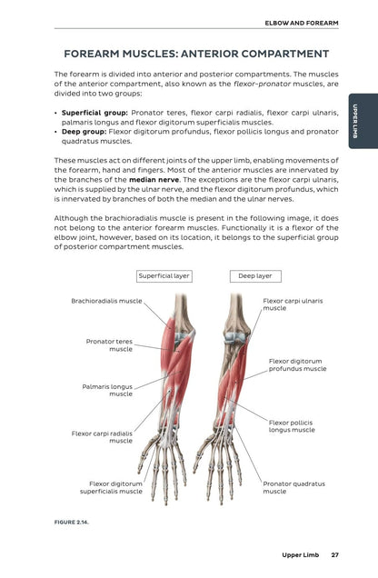 Kenhub Atlas of Human Anatomy