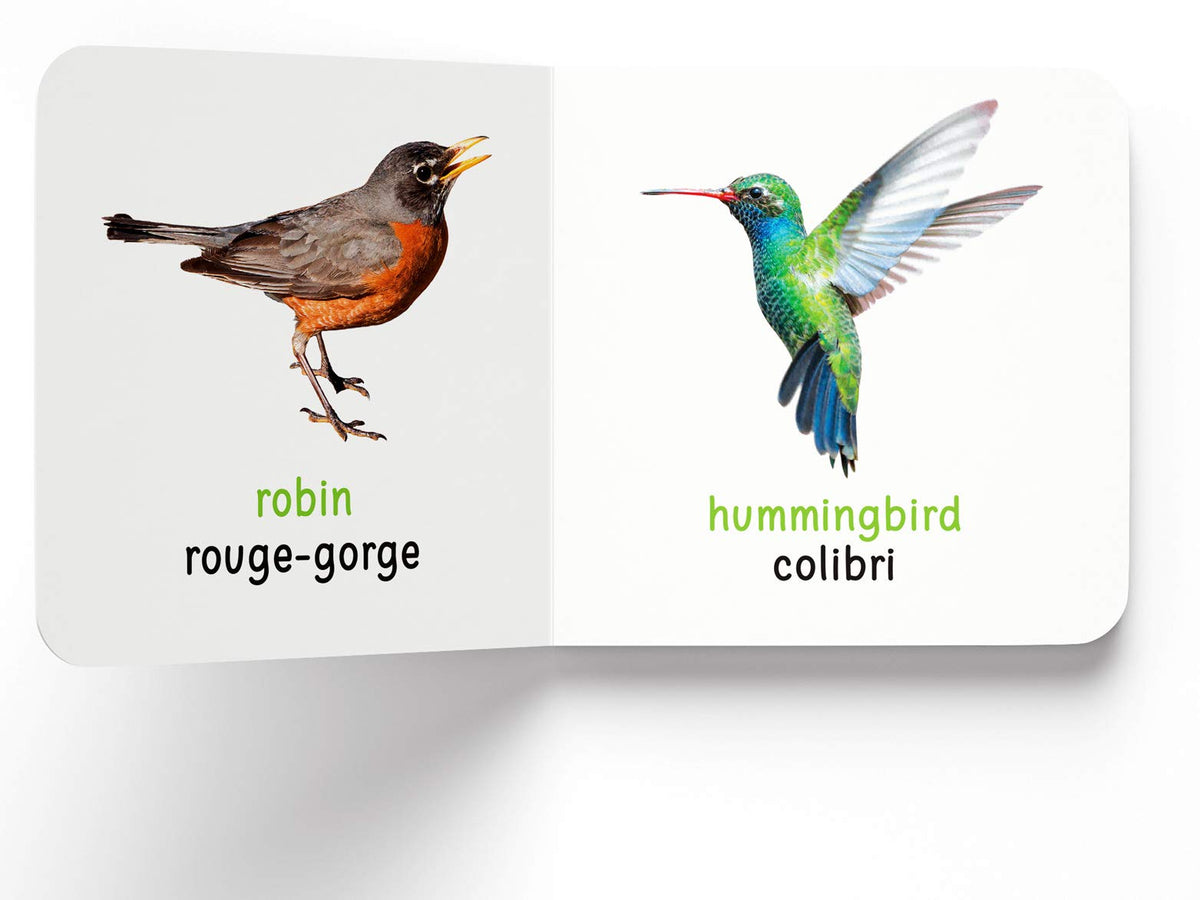 My First Book of Birds - Oiseaux : My First English French Board Book (English - Francais)