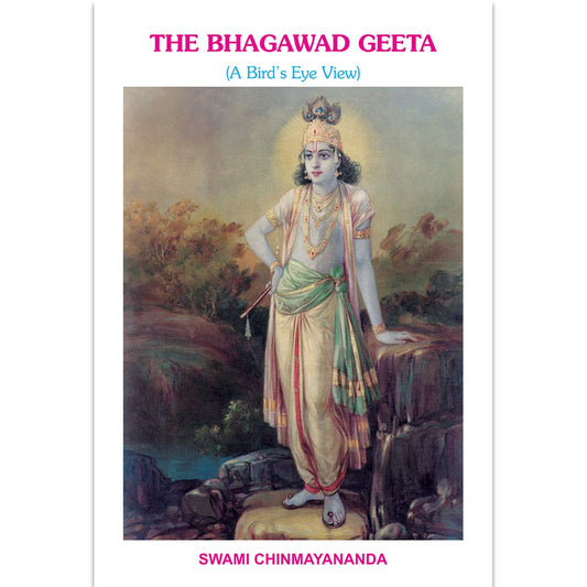 Bh.geeta Bird's Eye View book cover